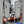 KC Racing CarbonX Skin KCR-CS-CG