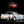 REVOSLOT RS0204 Datsun 510 Bianco Kit RS0204